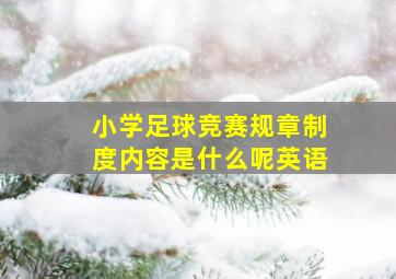 小学足球竞赛规章制度内容是什么呢英语