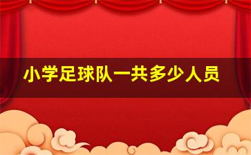 小学足球队一共多少人员