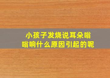 小孩子发烧说耳朵嗡嗡响什么原因引起的呢