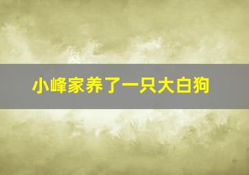 小峰家养了一只大白狗