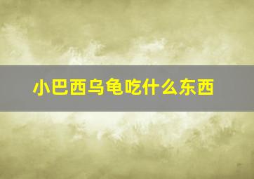 小巴西乌龟吃什么东西