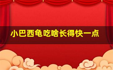 小巴西龟吃啥长得快一点