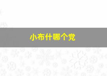 小布什哪个党