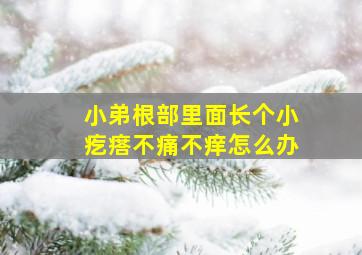 小弟根部里面长个小疙瘩不痛不痒怎么办