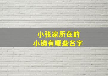 小张家所在的小镇有哪些名字