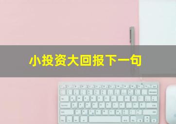 小投资大回报下一句