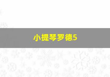 小提琴罗德5