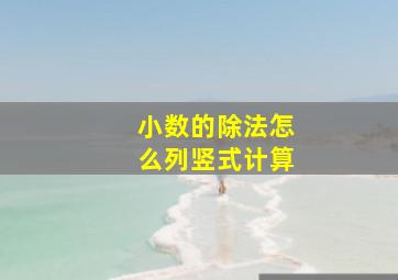 小数的除法怎么列竖式计算