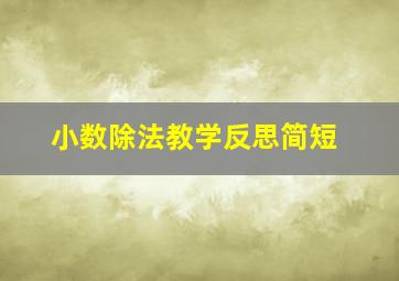 小数除法教学反思简短