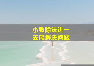 小数除法进一去尾解决问题