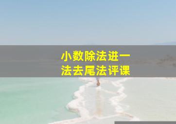 小数除法进一法去尾法评课