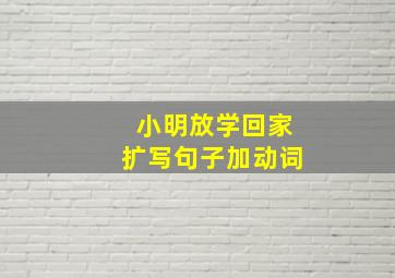 小明放学回家扩写句子加动词