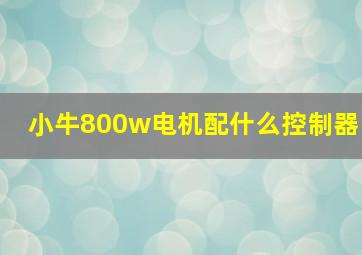 小牛800w电机配什么控制器