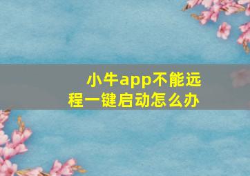 小牛app不能远程一键启动怎么办