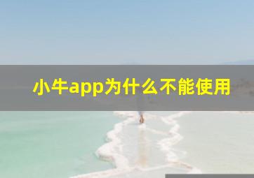 小牛app为什么不能使用