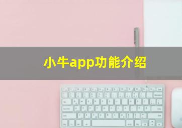 小牛app功能介绍