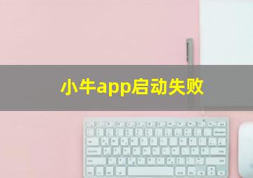 小牛app启动失败