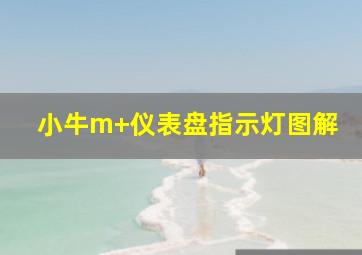 小牛m+仪表盘指示灯图解