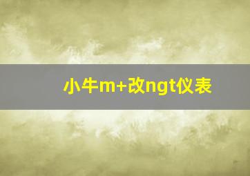 小牛m+改ngt仪表