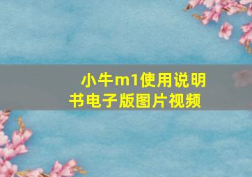 小牛m1使用说明书电子版图片视频