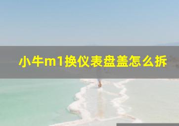 小牛m1换仪表盘盖怎么拆