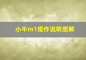 小牛m1操作说明图解