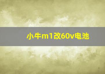 小牛m1改60v电池