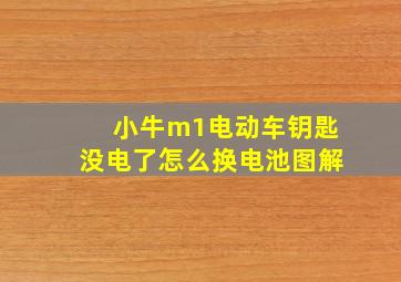 小牛m1电动车钥匙没电了怎么换电池图解