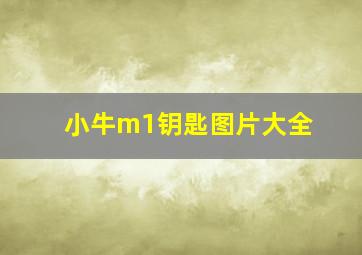 小牛m1钥匙图片大全