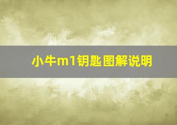 小牛m1钥匙图解说明