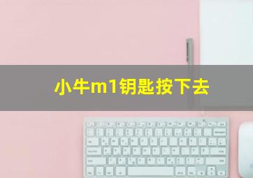 小牛m1钥匙按下去