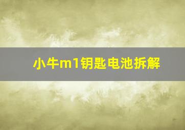 小牛m1钥匙电池拆解