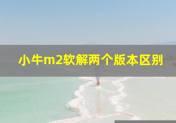 小牛m2软解两个版本区别