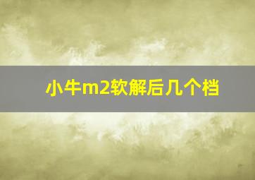 小牛m2软解后几个档