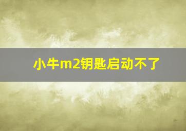 小牛m2钥匙启动不了