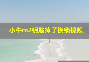 小牛m2钥匙掉了换锁视频