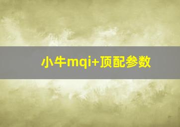 小牛mqi+顶配参数