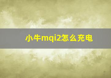 小牛mqi2怎么充电