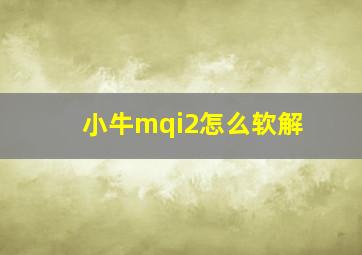 小牛mqi2怎么软解