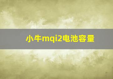 小牛mqi2电池容量