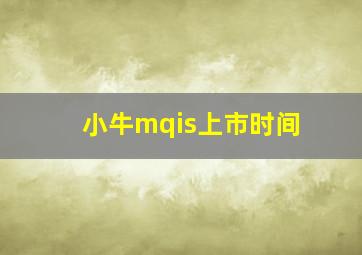 小牛mqis上市时间