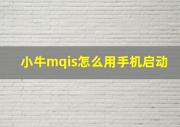 小牛mqis怎么用手机启动