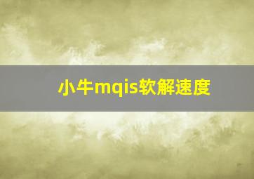 小牛mqis软解速度