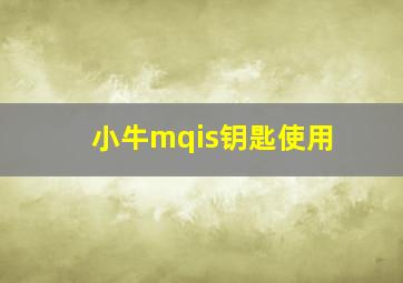 小牛mqis钥匙使用