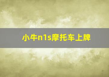 小牛n1s摩托车上牌