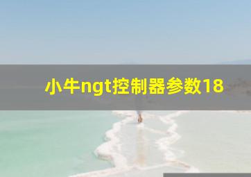 小牛ngt控制器参数18