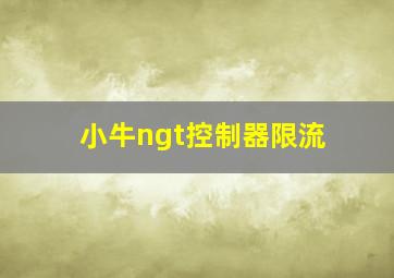 小牛ngt控制器限流