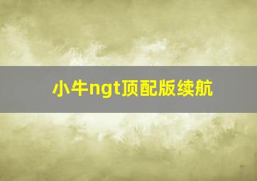 小牛ngt顶配版续航