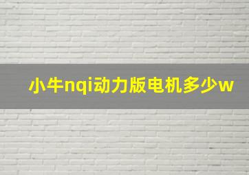 小牛nqi动力版电机多少w