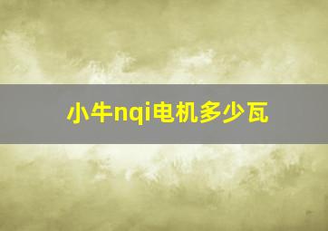 小牛nqi电机多少瓦